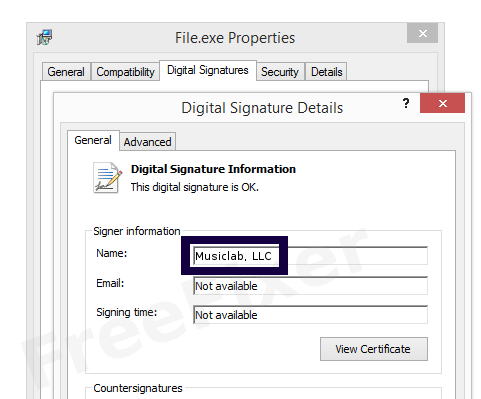 Screenshot of the Musiclab, LLC certificate
